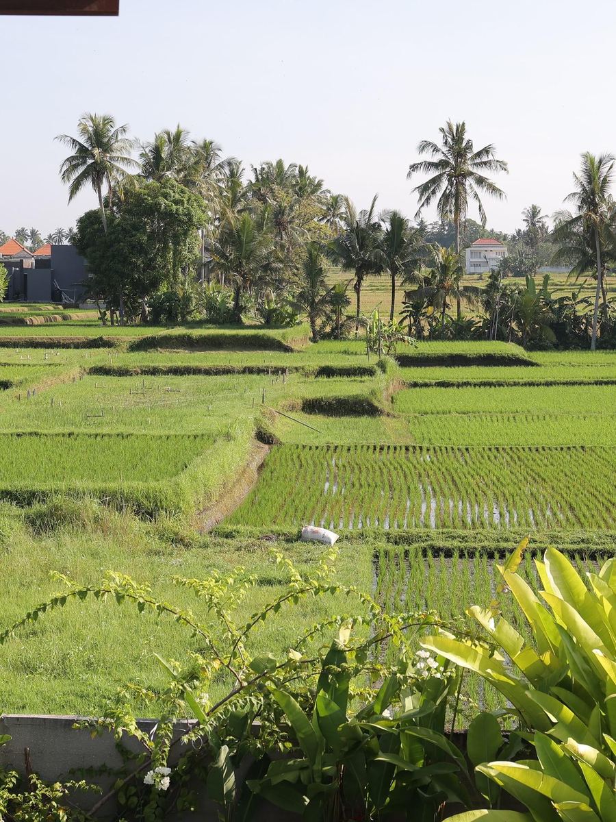 Industrial 6 bed twin lofts in Ubud, photo 3