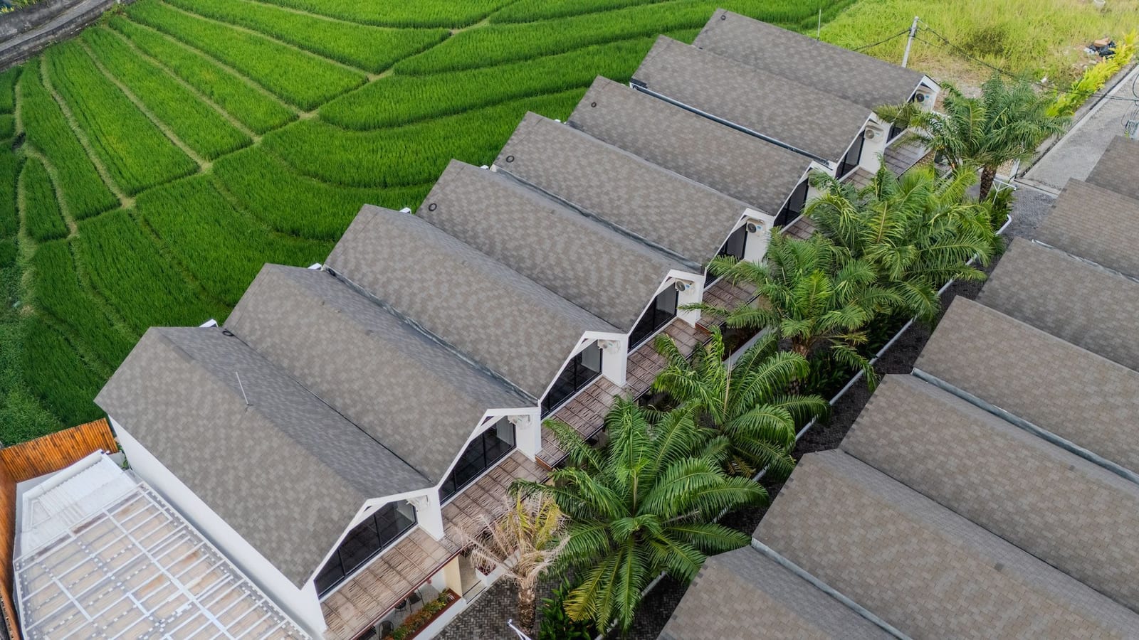 Rice field 1 bed townhouse in Canggu, photo 2