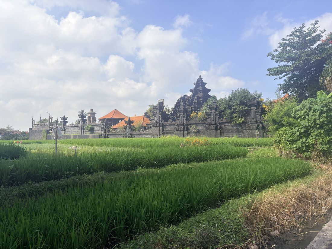 A village temple on a boundary. Setbacks from temples and watercourses are real constraints on where a building can sit, and they do not appear on the certificate.