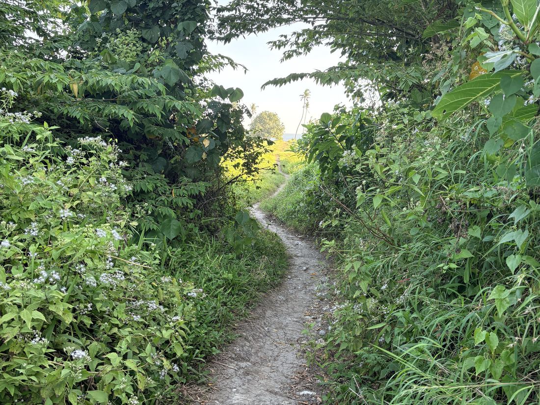 The access on a great many parcels looks like this. Worth establishing early whether it is a registered right of way or fifteen years of habit.