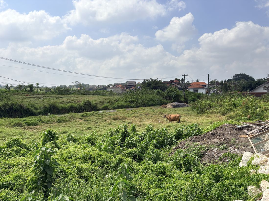 Grazing land. Whether this can carry a villa is a KKPR question, not a question of how it looks.