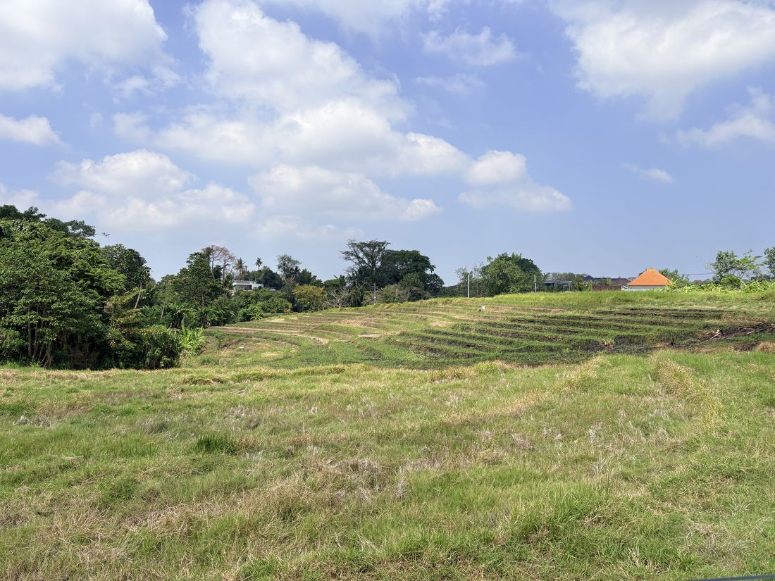 Terraced land after harvest. The contour that makes a plot beautiful is the same contour that decides the retaining and earthworks bill.
