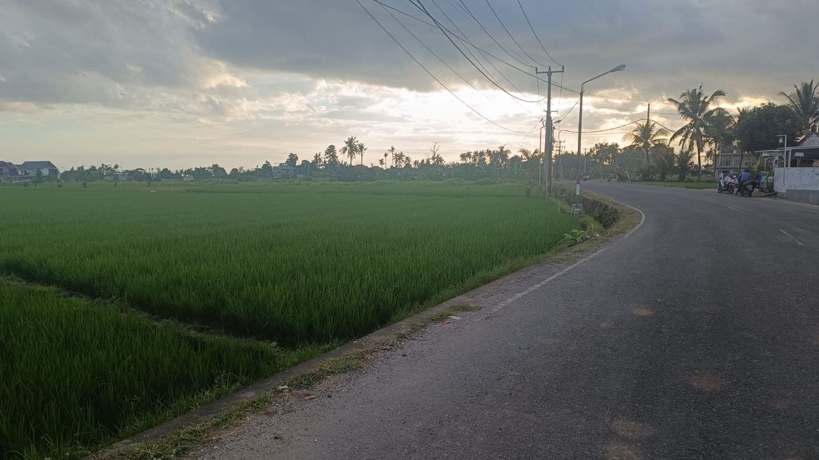 Road frontage on a parcel in west Bali. Frontage on a public road and a legally established right of way are two different things, and only one of them survives the neighbour selling.