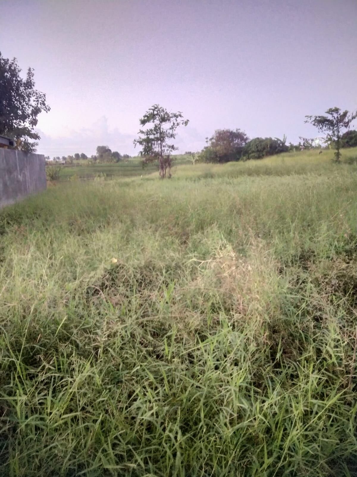 10 are plot of land, South Kaba Kaba, the plot, open grass