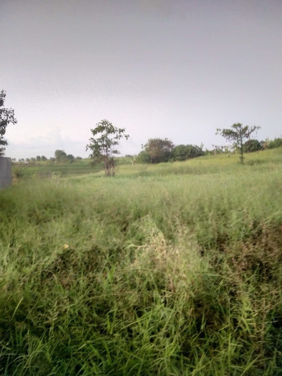 10 are plot of land, South Kaba Kaba, across the plot