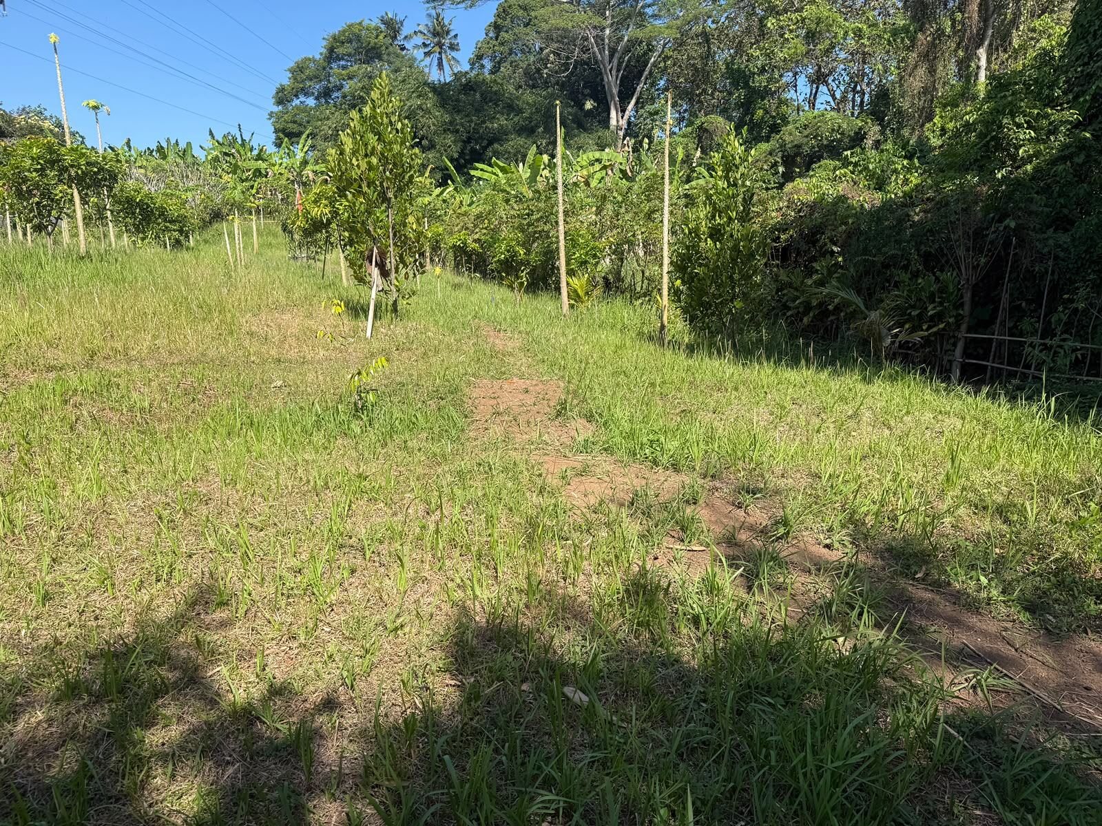100 are plot of land, Kaba Kaba, across the plot