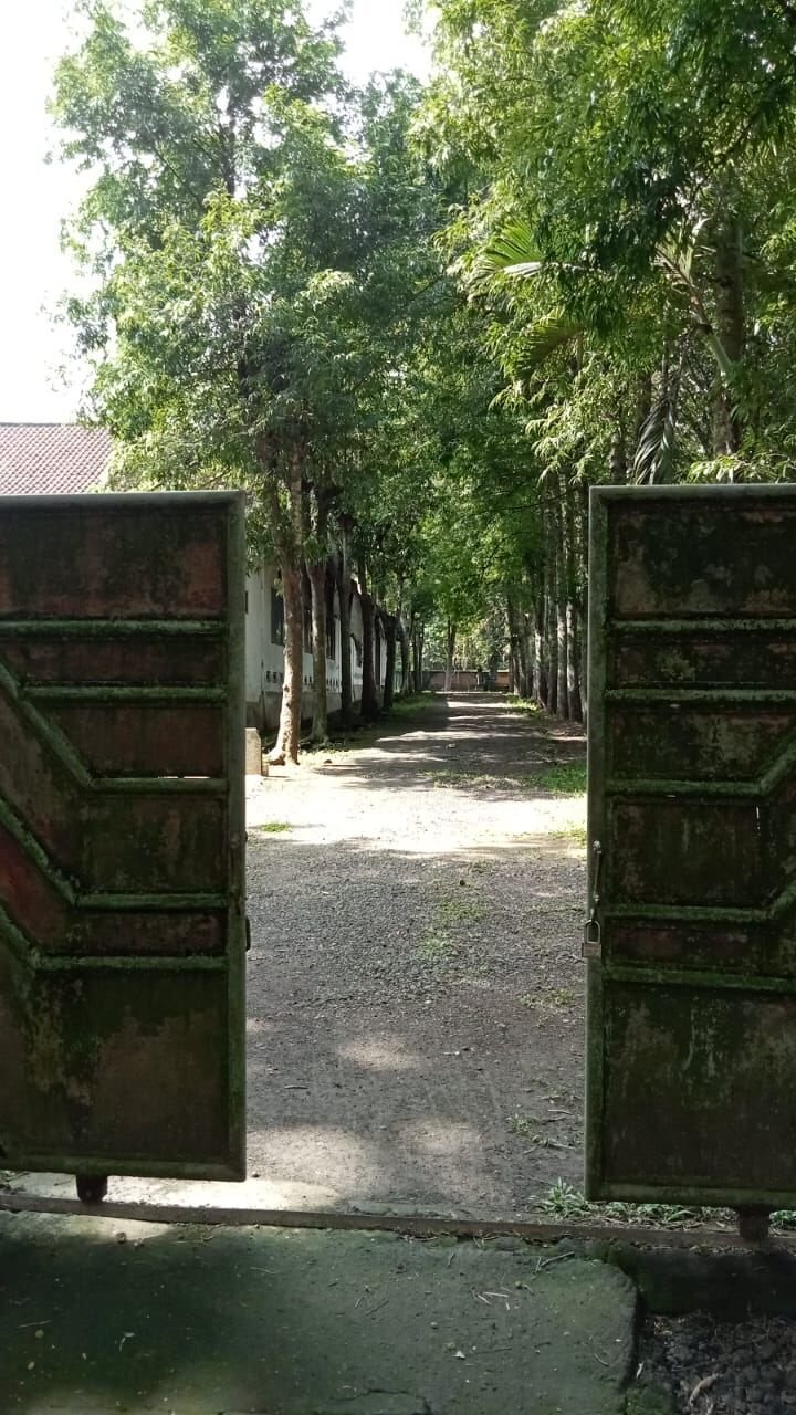 194 are plot of land, Kaba Kaba, the entrance track