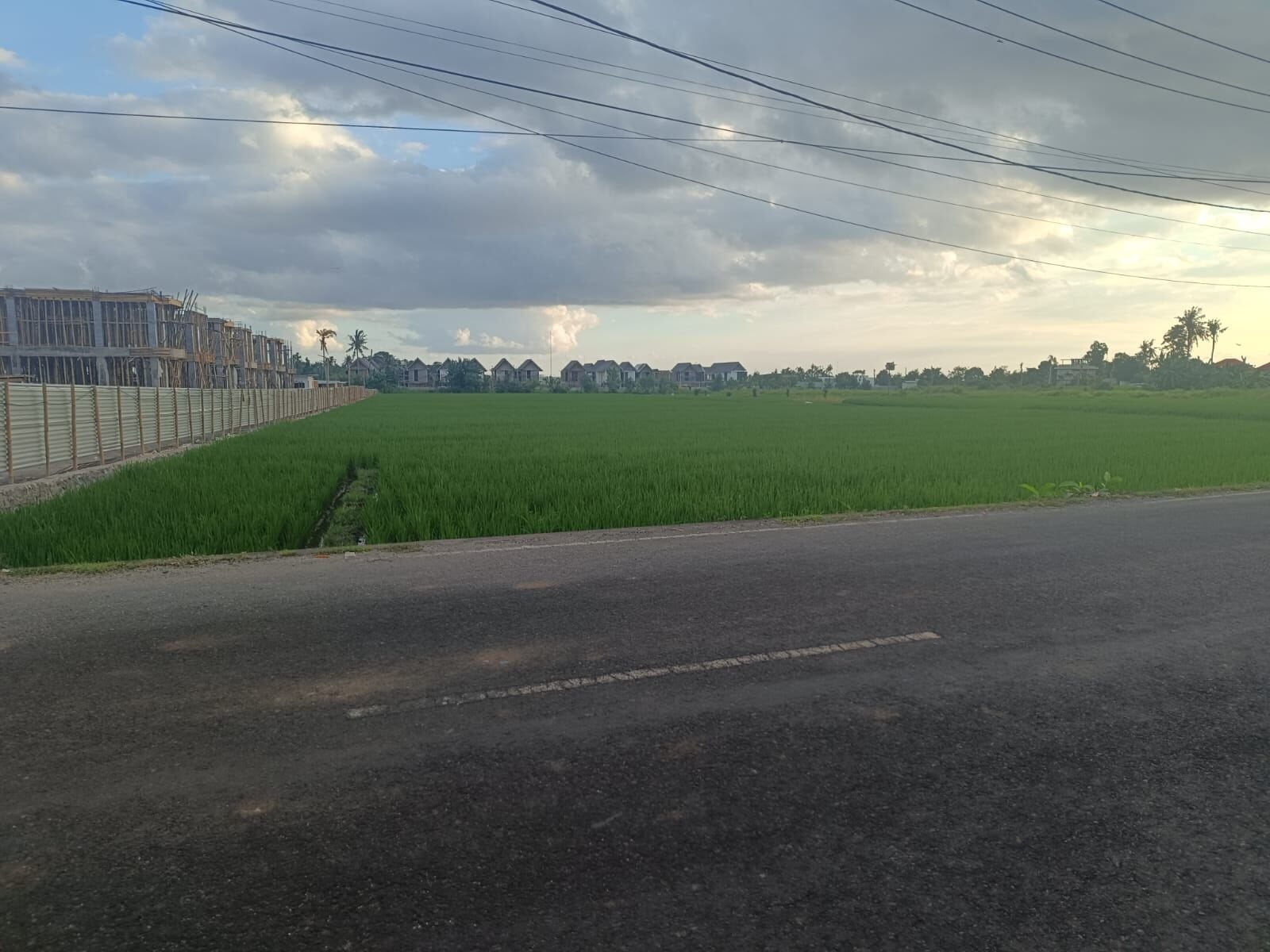 40 are plot of land, Pigstone Beach, the road along the plot