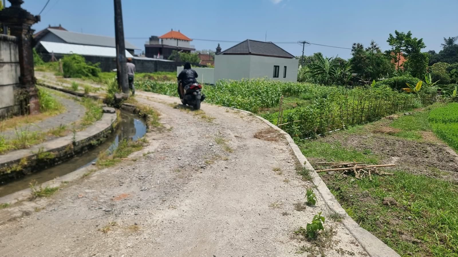 8 are plot of land, Munggu, the village lane