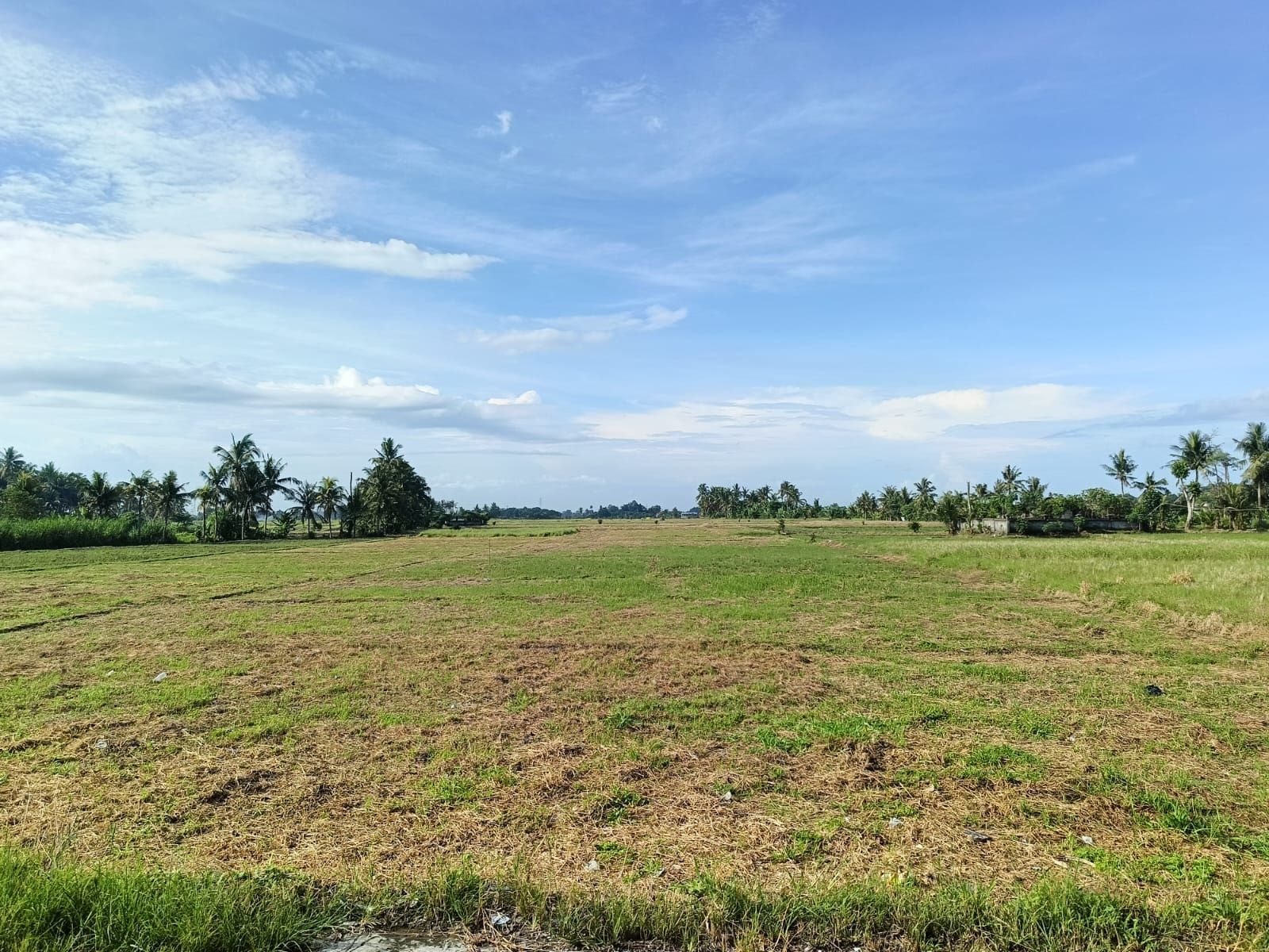 9.28 are plot of land, Nyambu, the plot, open rice field