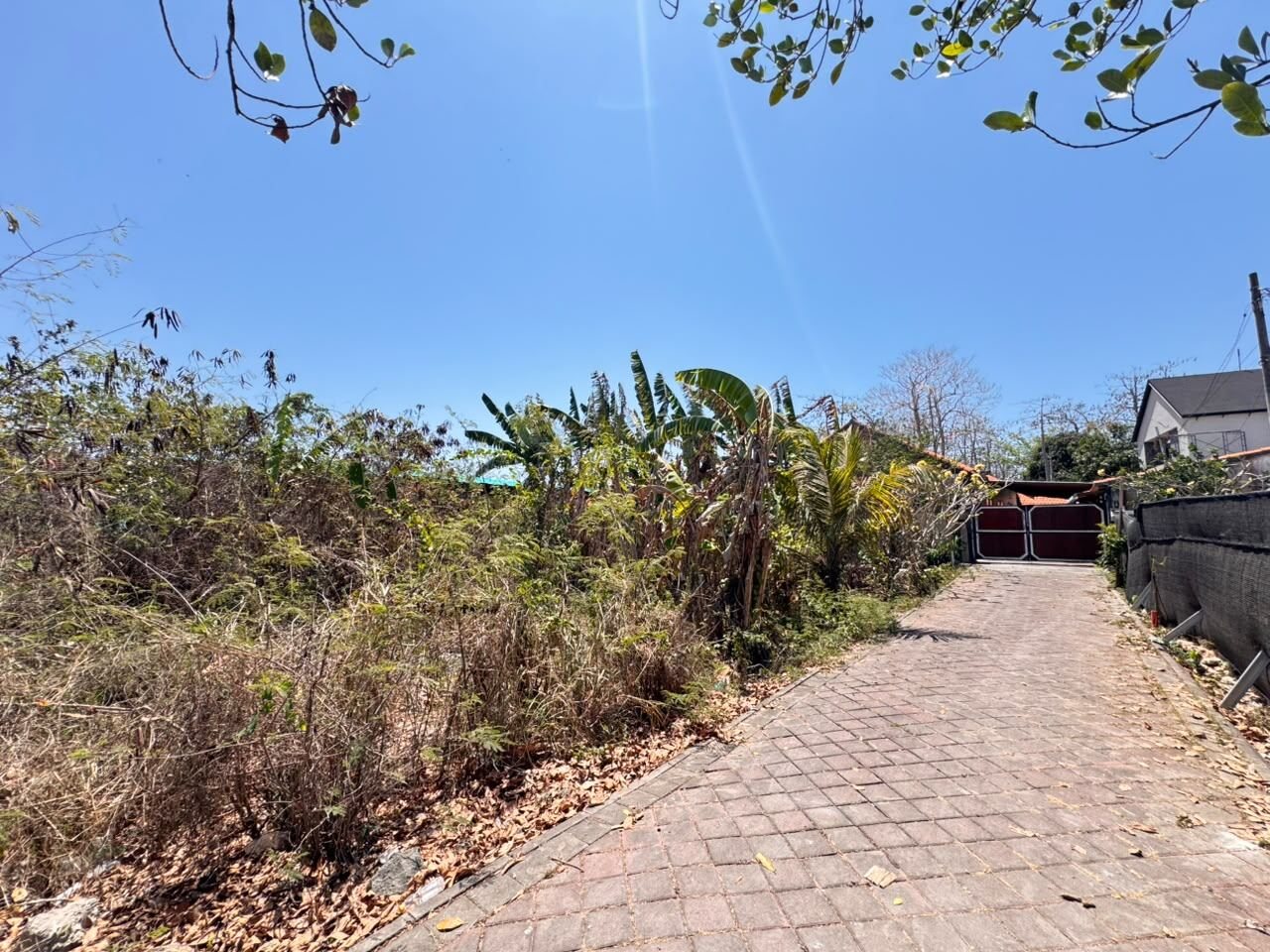 3.7 are plot of land, Nyang Nyang, the lane along the plot